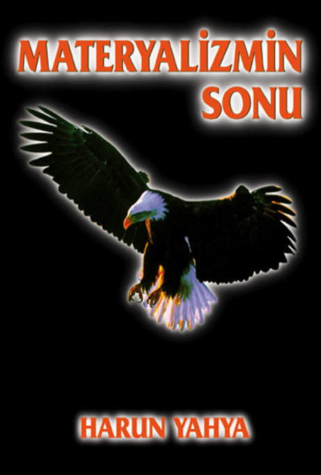 Materyalizmin Sonu